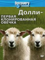 Discovery: Долли — первая клонированная овечка 2006