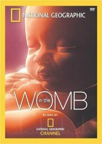 Life Before Birth (фильм 2005)