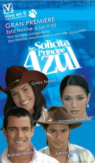 В поисках идеального мужчины (сериал 2005)