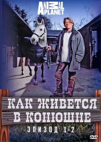 Как живется в конюшне (сериал 2006)