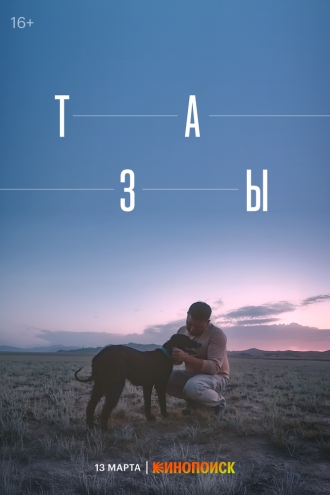 Тазы