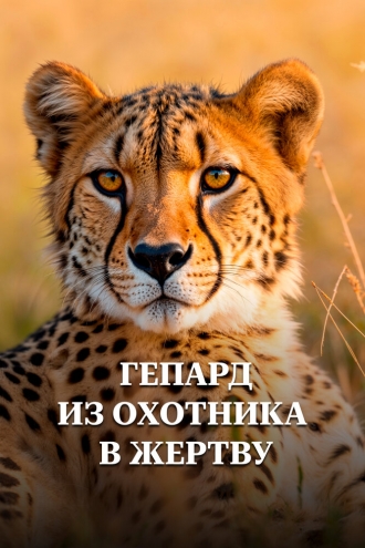 Гепард. Из охотника в жертву (2016)