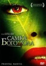 Самка богомола 2004
