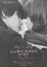 Одни лишь соль и сахар (2006)