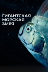Гигантская морская змея (2021)