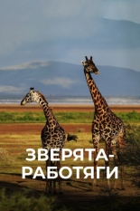 Зверята-работяги 2019