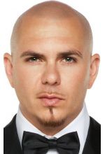 Питбуль