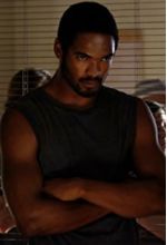 Will Shephard