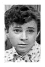 Андрей Дмитриев