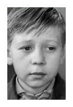 Андрей Войновский