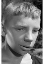 Вячеслав Царев