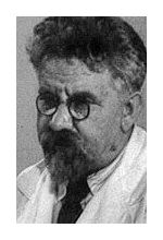 Алексей Загорский