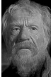 Владимир Лебедев