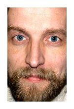 Дмитрий Антимонов