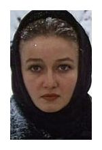 Елена Кучеренко