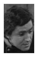Дмитрий Вершинин