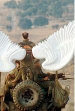 Джил Фрэнк