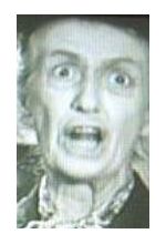 Helga Brofeldt