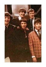 The Animals
