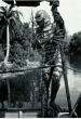 Бен Чэпман