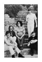 The Turtles