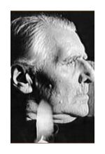 Петр Михневич