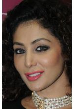 Shilpi