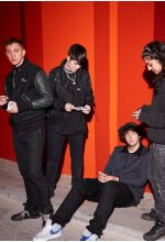 The Xx