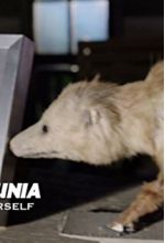 Дэна