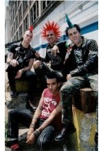 The Casualties