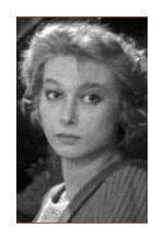 Елена Кольчугина