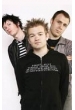 Sum 41