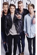 The Vamps