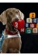 Chalcy