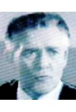 Харольд Хайди Стин