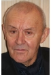 Аркадий Волгин