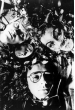 Severed Heads