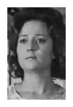 Елена Одинцова