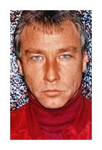 Стив Бендер