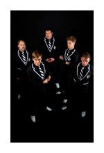 The Hives