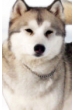 Кода