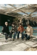 Super Furry Animals