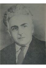 Гейдар Шамсизаде