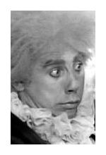 Андрей Николаев