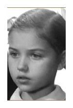 Светлана Волкова