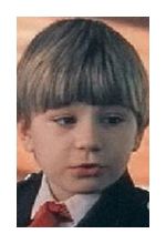 Дмитрий Беспалов