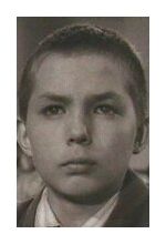 Владимир Семенович
