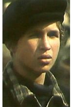 Андрей Звездов