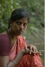 Janagi