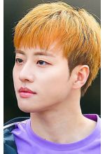 Feeldog